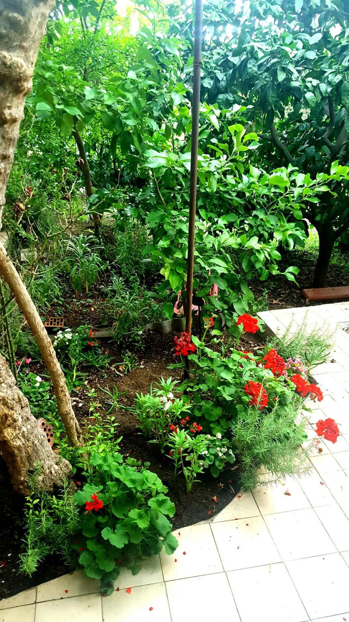 Apartment Vala Betina (Sibenik-Knin)