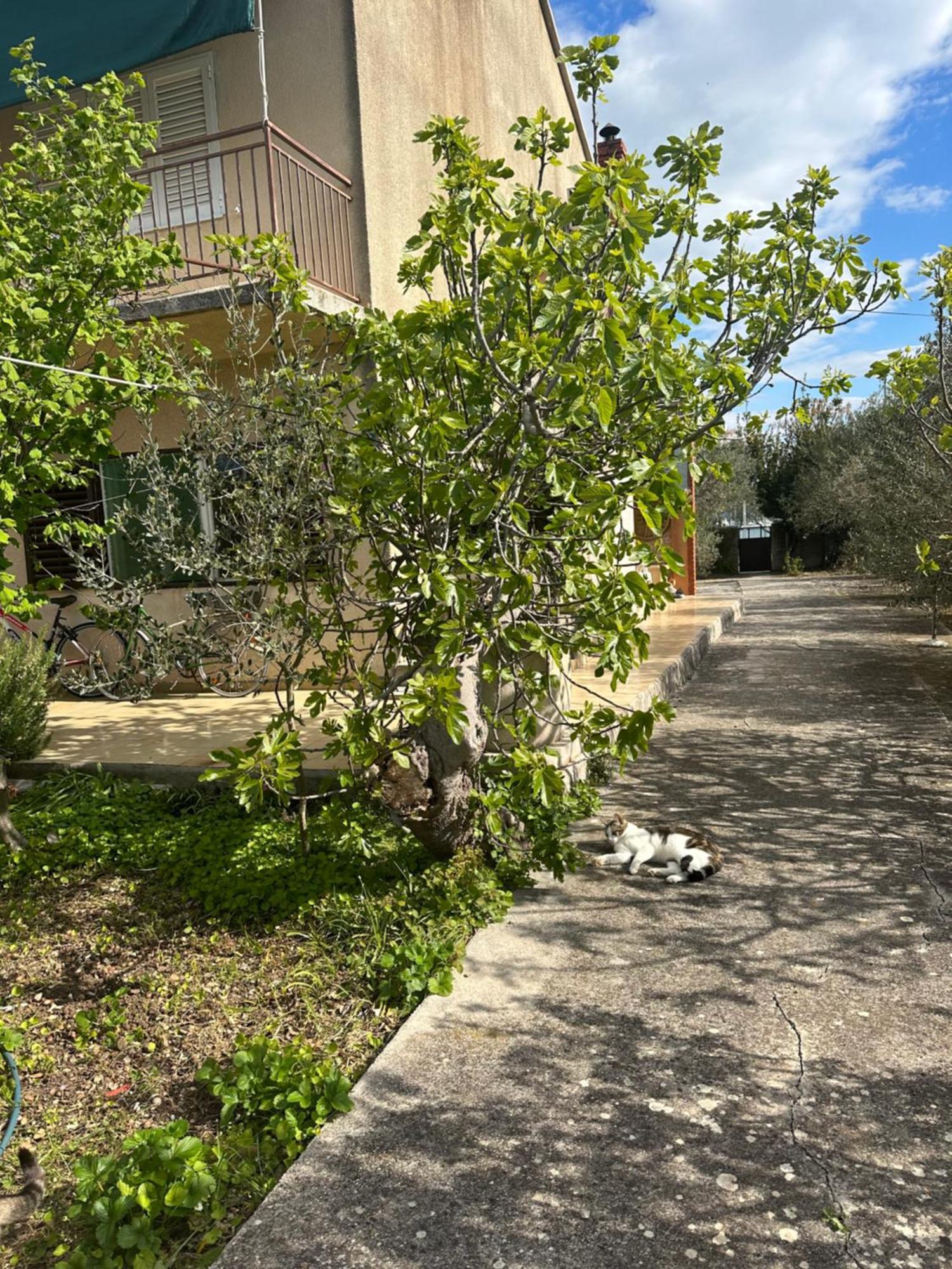Vala Apartman