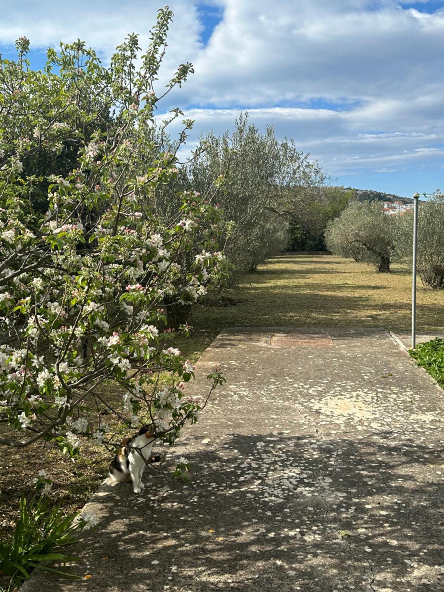 Appartamento Vala